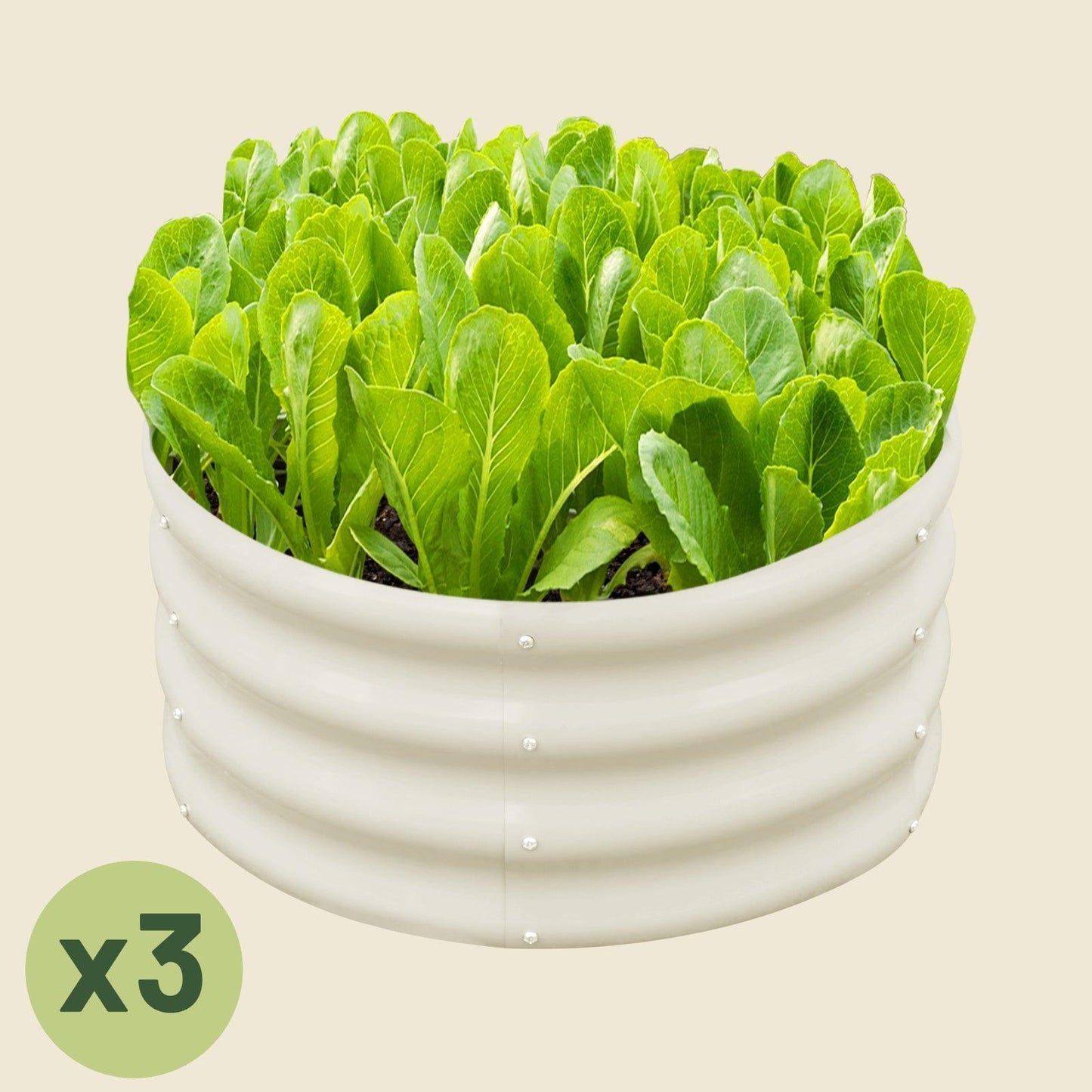 No Rot. No Rust. Just Growth. – Round Steel Garden Bed 2x2 ft Modular